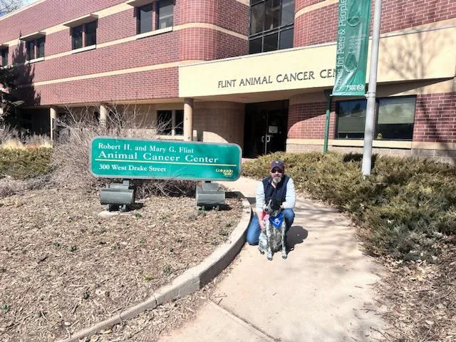 CSU Flint Animal Cancer Center Picture 4
