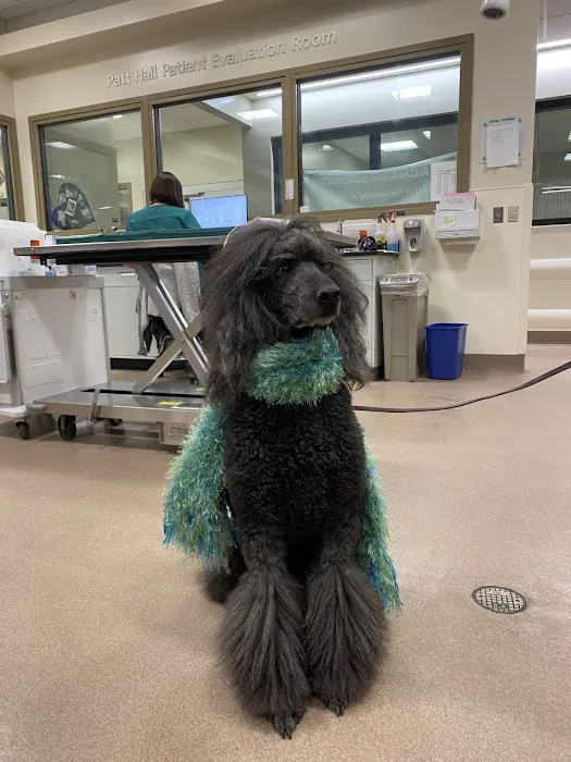 CSU Flint Animal Cancer Center Picture 7