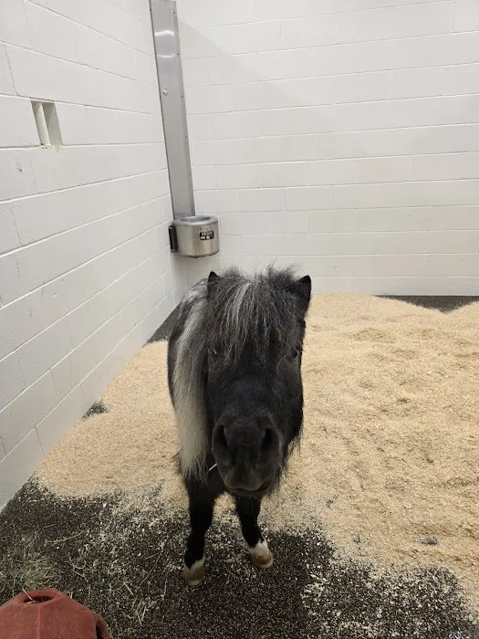 Johnson Family Equine Hospital Picture 1