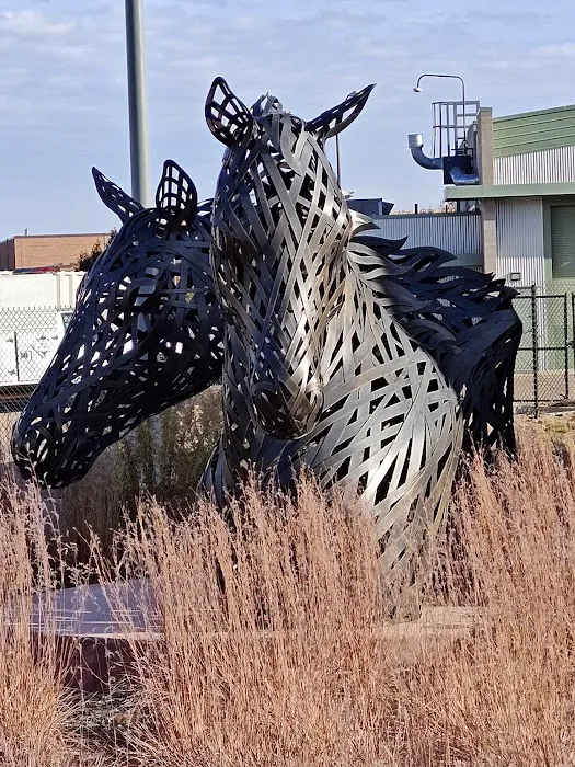 Johnson Family Equine Hospital Picture 3
