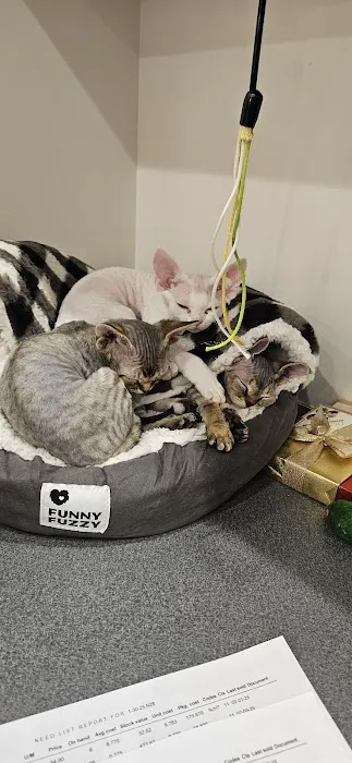 Northern Colorado Veterinary Center Picture 1