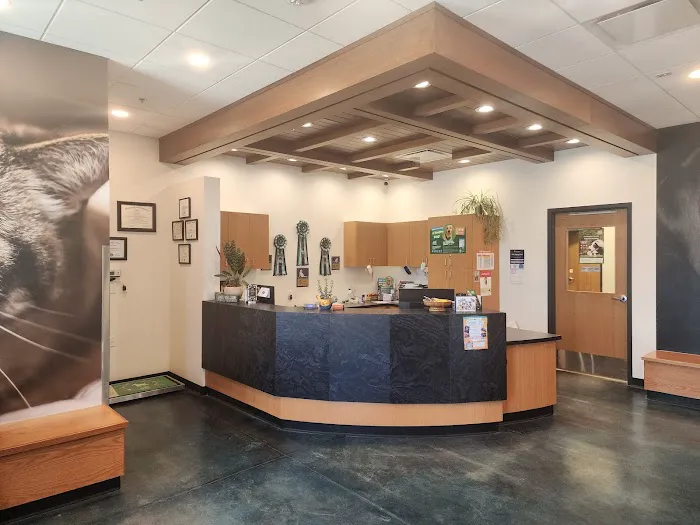 Northern Colorado Veterinary Center Picture 2