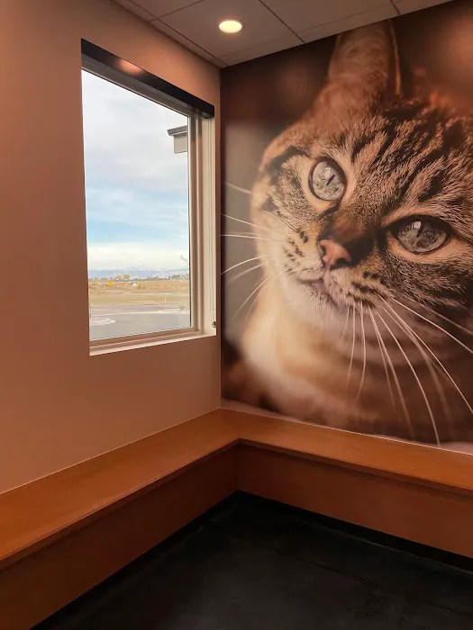 Northern Colorado Veterinary Center Picture 5