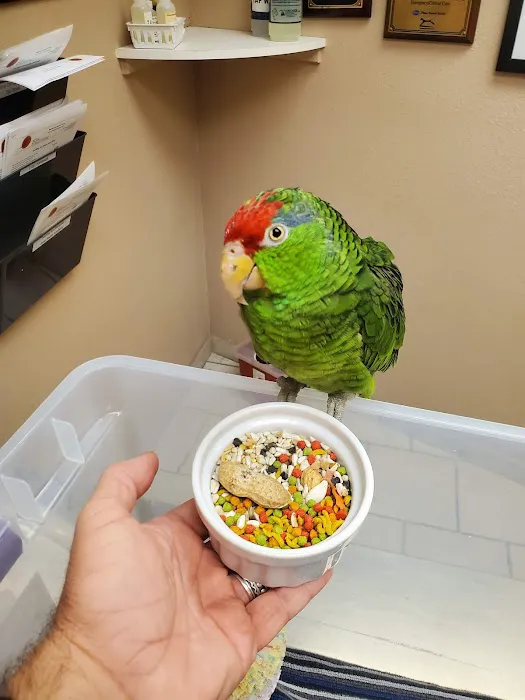 Medical Center For Birds Picture 3