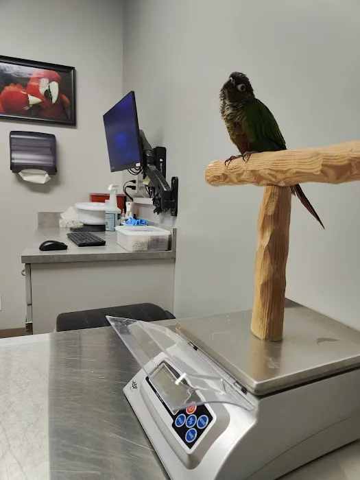 Medical Center For Birds Picture 6
