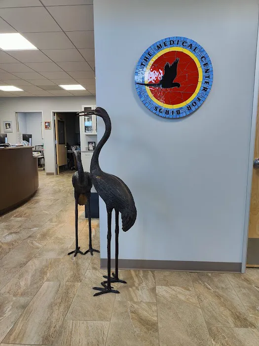 Medical Center For Birds Picture 8
