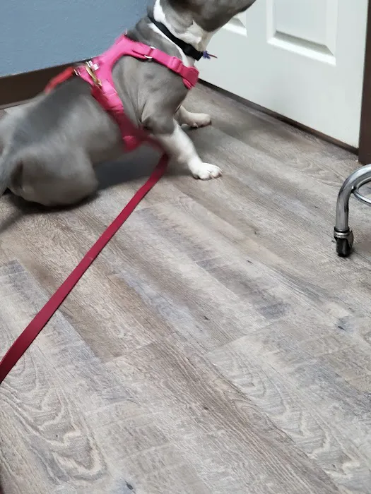 Brentwood Family Pet Care Picture 6