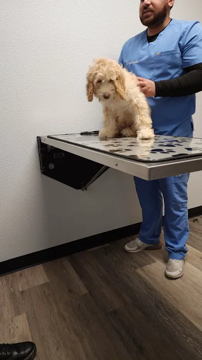Brentwood Veterinary Hospital Picture 8