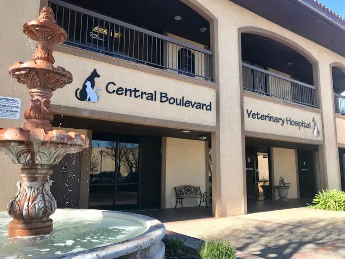 Central Boulevard Veterinary Hospital Picture 1