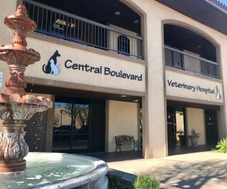 Central Boulevard Veterinary Hospital