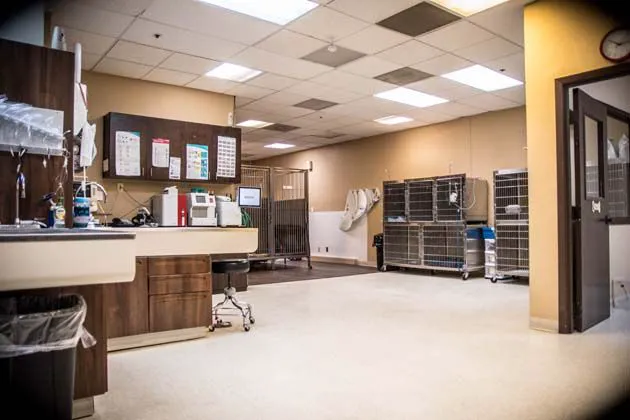 Central Boulevard Veterinary Hospital Picture 5