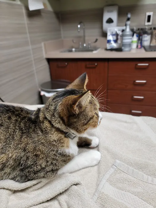 Animal Medical Center of Wyoming Picture 3