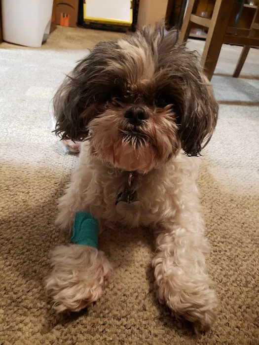 Animal Medical Center of Wyoming Picture 8