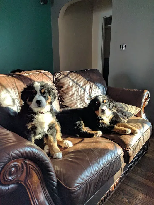 Clyde Park Veterinary Clinic Picture 4