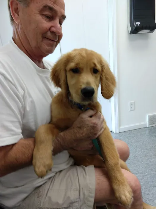 Kentwood Veterinary Clinic Picture 2