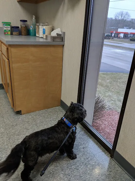 Kentwood Veterinary Clinic Picture 5