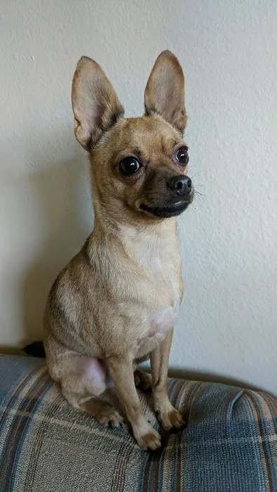 Kentwood Veterinary Clinic Picture 1
