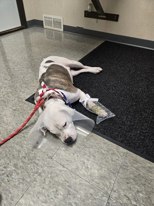 Kentwood Veterinary Clinic Picture 8