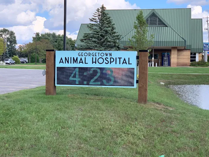 Georgetown Animal Hospital Picture 3
