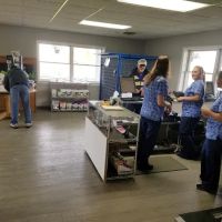 Chicago Drive Veterinary Clinic ico
