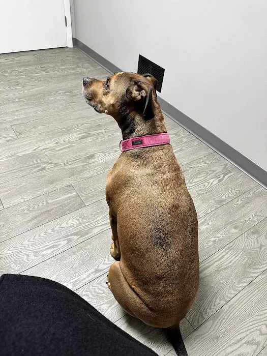 Chicago Drive Veterinary Clinic Picture 5