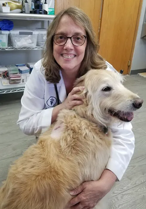 Chicago Drive Veterinary Clinic Picture 4