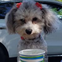 Jenison Animal Hospital ico
