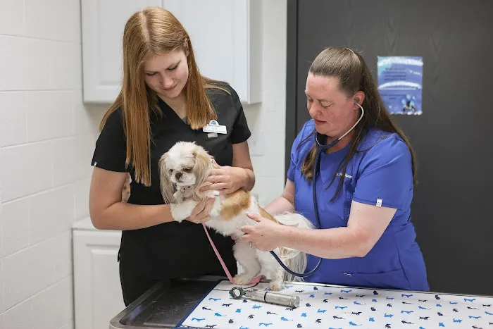 Jenison Animal Hospital Picture 3