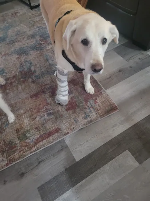 Jenison Animal Hospital Picture 10