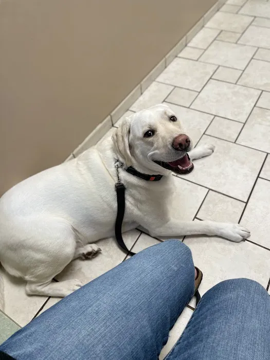 Cottonwood Veterinary Center Picture 9
