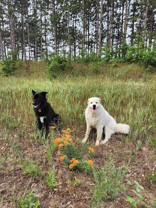 Newaygo Veterinary Services Picture 4