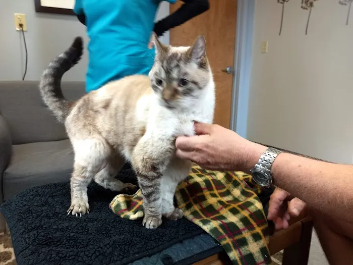 Newaygo Veterinary Services Picture 5