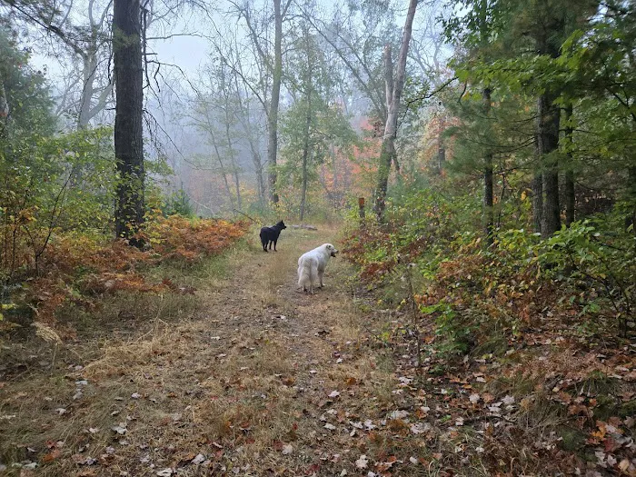 Newaygo Veterinary Services Picture 7
