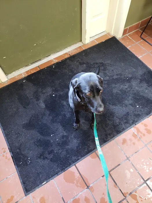 Coit Animal Clinic Picture 2