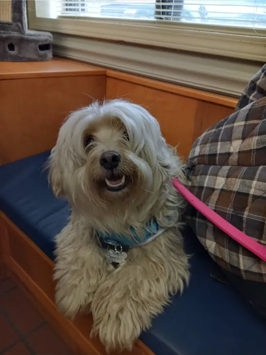 Coit Animal Clinic Picture 4
