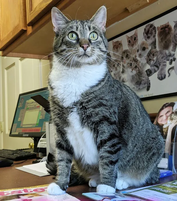 Coit Animal Clinic Picture 7