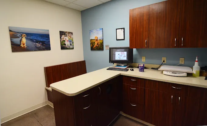 Eastown Veterinary Clinic Picture 6