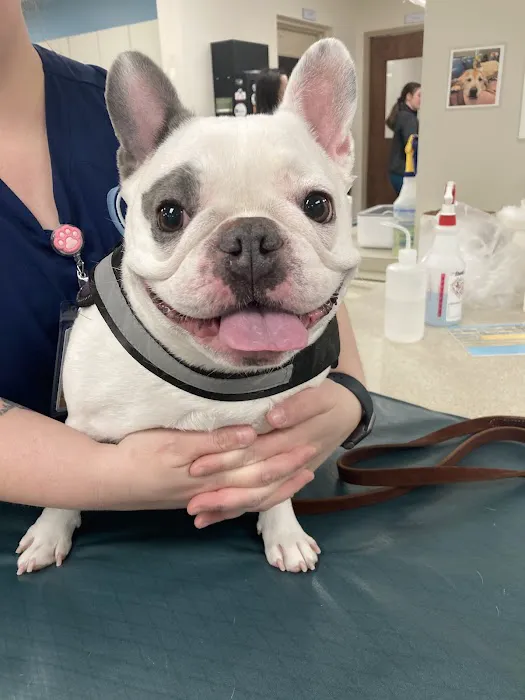 Eastown Veterinary Clinic Picture 2