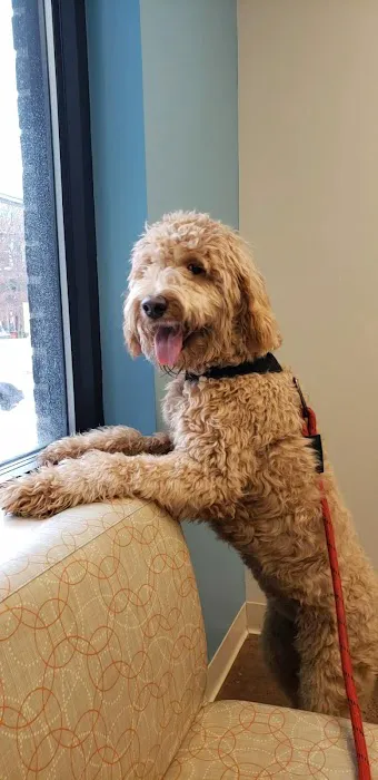 Eastown Veterinary Clinic Picture 3