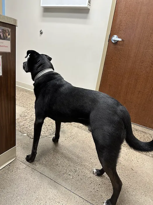 Eastown Veterinary Clinic Picture 9