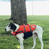 Heaven At Home Pet Hospice ico
