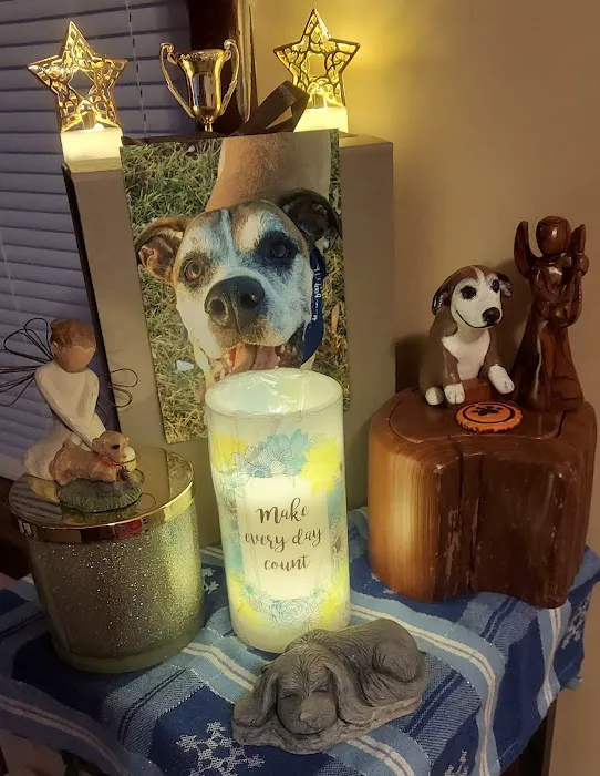 Heaven At Home Pet Hospice Picture 8