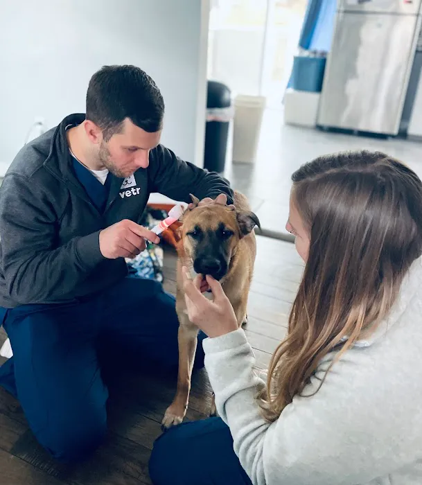 Vetr Health Picture 3