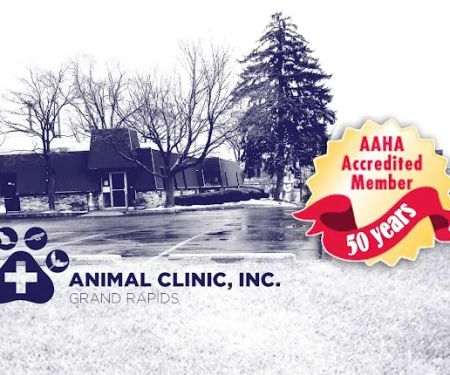 Animal Clinic, Inc. Grand Rapids