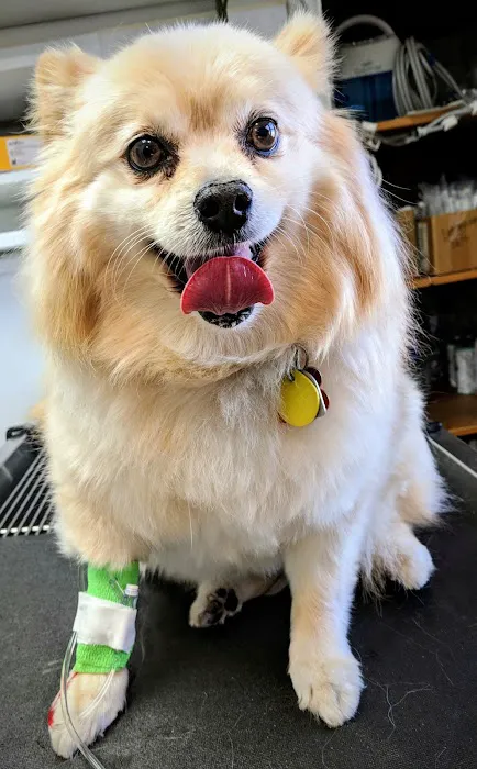 Schmitt's Animal Hospital Picture 8