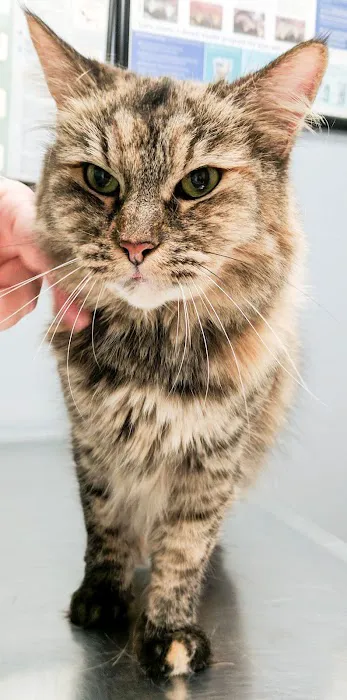 Schmitt's Animal Hospital Picture 9