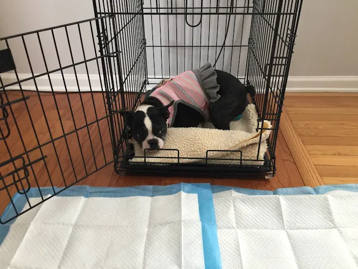 Kelley’s Animal Clinic Picture 4