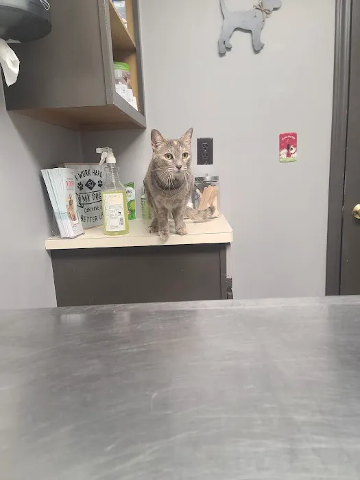 Kelley’s Animal Clinic Picture 8