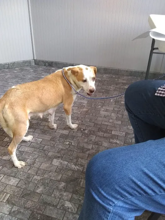 Kelley’s Animal Clinic Picture 6