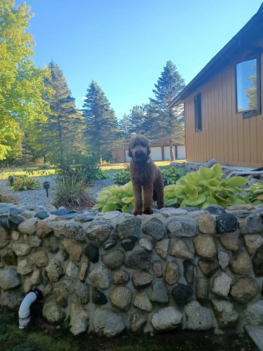 Animal Wellness Center of White Cloud Picture 1